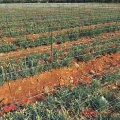 Trellis Netting 6.5ft X 50ft -Gardeners Edge Sales tn650 5