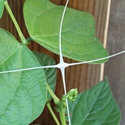 Trellis Netting 6.5ft X 50ft -Gardeners Edge Sales tn650 9