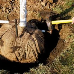 Tree Anchor Staples, 2ft Height, For 1in-2in Diameter Trees -Gardeners Edge Sales tst24 2