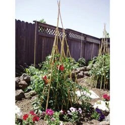Bamboo Teepee Trellis 48in Open 44in H X 31in W -Gardeners Edge Sales tt48 2