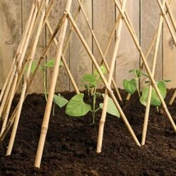 Bamboo Teepee Trellis, 60in Open, 56in H X 39in W -Gardeners Edge Sales tt60 2 1