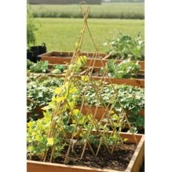 Bamboo Teepee Trellis, 60in Open, 56in H X 39in W -Gardeners Edge Sales tt60 3