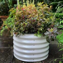 Vego 6 In 1 Modular Metal Raised Bed, Pearl White -Gardeners Edge Sales vb6n1 wh 5 1