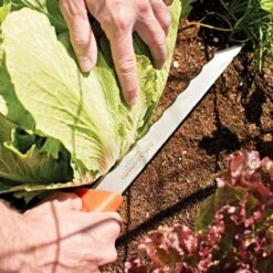 Leonard Wavy Edge Stainless Steel Cut-All Knife -Gardeners Edge Sales vp 404xt 4
