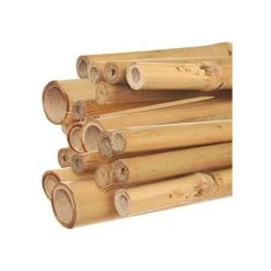 Natural First Cut Premium Bamboo Stakes, Bundle