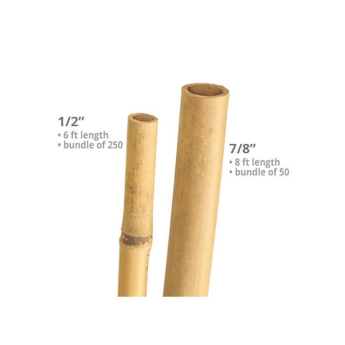Natural First Cut Premium Bamboo Stakes, Bundle 5 Natural First Cut Premium Bamboo Stakes, Bundle - Image 3