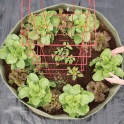 Root Pouch Non-Degradable Mega Grow Bag Raised Bed 17 Root Pouch Non-Degradable Mega Grow Bag Raised Bed -Gardeners Edge Sales vp boxerbed 5