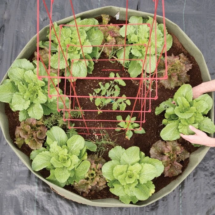 Root Pouch Non-Degradable Mega Grow Bag Raised Bed 8 Root Pouch Non-Degradable Mega Grow Bag Raised Bed - Image 6