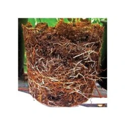 Grotab 3-in-1 Premium Plant Starter (12-8-4) -Gardeners Edge Sales vp gt 2