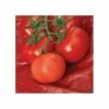 Tomato Red Mulch Film Roll -Gardeners Edge Sales vp rm