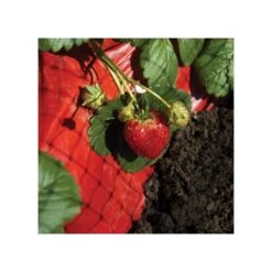 Tomato Red Mulch Film Roll -Gardeners Edge Sales vp rm 3