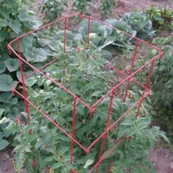Tomato Cages, 48in X 14in, 3-Pack 10 Tomato Cages, 48in X 14in, 3-Pack -Gardeners Edge Sales vp tc48 2