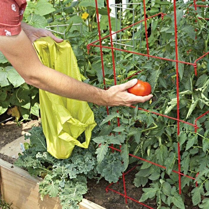 Tomato Cages, 48in X 14in, 3-Pack 7 Tomato Cages, 48in X 14in, 3-Pack - Image 5