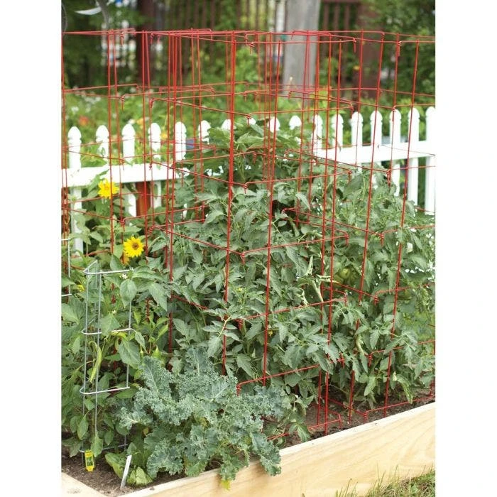 Tomato Cages, 48in X 14in, 3-Pack 8 Tomato Cages, 48in X 14in, 3-Pack - Image 6