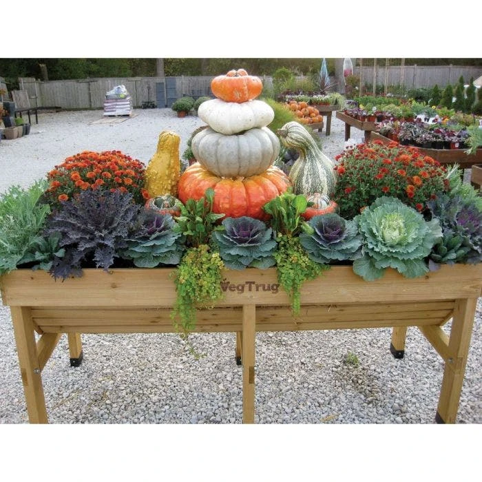 VegTrug Wall Hugger Elevated Garden Bed Natural 7 VegTrug Wall Hugger Elevated Garden Bed Natural - Image 5