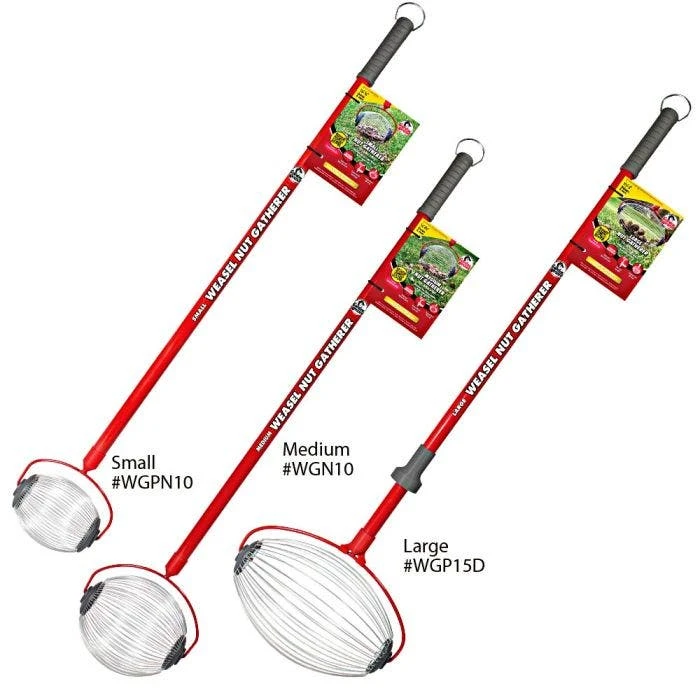 Weasel Nut Gatherer 3 Weasel Nut Gatherer