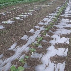 Biodegradable Paper Mulch, 4 Feet By 250 Feet -Gardeners Edge Sales wg48250f 8