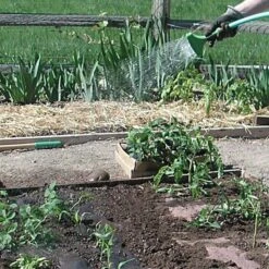 Biodegradable Paper Mulch, 4 Feet By 500 Feet -Gardeners Edge Sales wg48500f 5