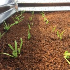 Wonder Soil Expand And Plant Organic Planting Mix -Gardeners Edge Sales wsepoc25 2