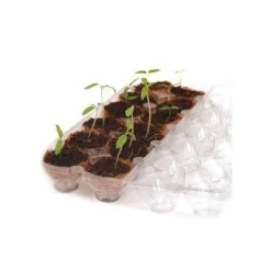 Wonder Soil Sprout House