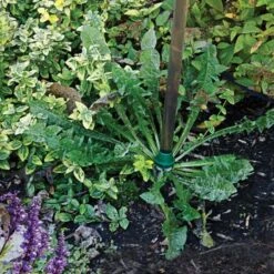 Weed Wand Magic Applicator With 3 Replacement Tips -Gardeners Edge Sales wwata 3