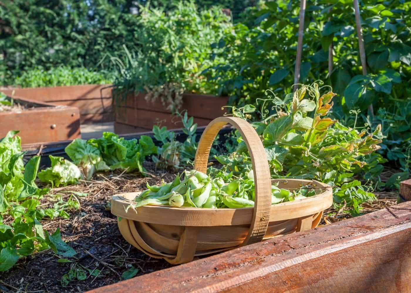 Front Page 10 Front Page -Gardeners Edge Sales 020